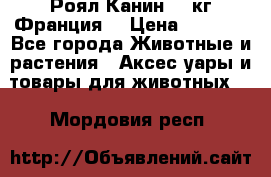  Роял Канин 20 кг Франция! › Цена ­ 3 520 - Все города Животные и растения » Аксесcуары и товары для животных   . Мордовия респ.